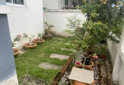 ขายบ้านแฝด หมู่บ้านพรหมศิริ เพชรเกษม 77 เนื้อที่ 33.6 ตร.ว. 2 ชั้น 3 นอน 3 น้ำ