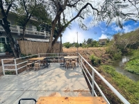 ขายบ้าน 118 ตรว 3.80ล้าน พร้อมผู้เช่าเดือนละ18,000บาท สันกำแพง