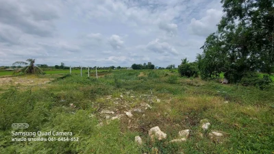 ขายด่วนที่ดินใกล้วัดไผ่หูช้าง 6-3-9 ไร่ ติดถนนลาดยางสาธารณะ บางเลน นครปฐม