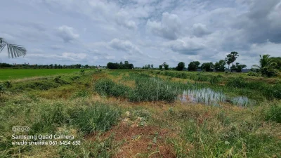 ขายด่วนที่ดินใกล้วัดไผ่หูช้าง 6-3-9 ไร่ ติดถนนลาดยางสาธารณะ บางเลน นครปฐม