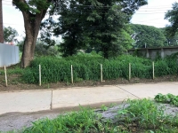 ให้เช่าที่ดิน 85 ตรว หลังการไฟฟ้าหนองหอยเดือนละ7,000บาท