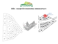 ขายที่ดินในหมู่บ้านเนเบอร์โฮม สุขาภิบาล5