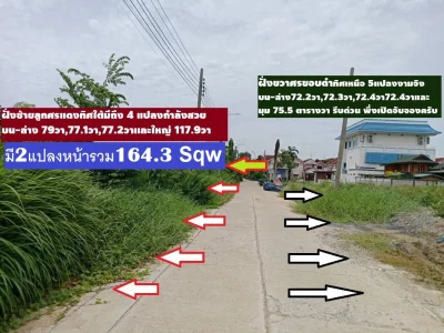 ขายที่ดินสร้างบ้านที่พักอาศัยต่างๆ จับจองเก็บไว้ก็ได้ มีถนนไฟฟ้า ประปาพร้อมแต่มีลักษณะหมู่บ้านใหญ่ด้วย หาไม่ได้ ที่ดินในหมู่บ้านจัดสรร ม.ลานทอง ปากเกร็ด เสมือนอยู่แจ้งวัฒนะ หรือเมืองทองธานี ใกล้นิดเดียว ที่ดินจัดสรรถมแล้วรวมที่เพื่อทำให้สนใจมากขึ้น ไม่แพง ทำเลต้นซอย รวมแปลงเป็น 195 ตารางวา Sqw