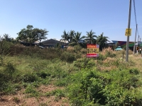 ขายด่วน ที่ดินตำบลพระอาจารย์ 1 ไร่ ติดทางหลวงชนบท นย.4009 อ.องครักษ์ จ.นครนายก