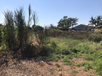 ขายด่วน ที่ดินตำบลพระอาจารย์ 1 ไร่ ติดทางหลวงชนบท นย.4009 อ.องครักษ์ จ.นครนายก