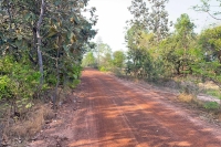 โคตรถูก ช้าหมดอดแน่นอน ที่ดิน อ.พิบูลมังสาหาร จ.อุบลฯ 5 ไร่กว่า ยกแปลงแค่ 8 แสนบาท เฉลี่ยไร่ละแสนนิดๆ) ราคานี้หาไม่ได้อีกแล้ว