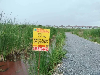 ขายด่วนที่ดินใกล้วัดบางม่วง 50 ตรว ติดถนนสาธารณะ ต.บางม่วง อ.บางใหญ่ จ.นนทบุรี