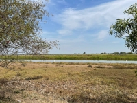 ขายที่บางน้ำเปรี้ยว