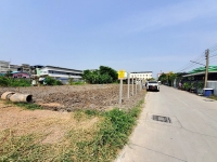  ขายถูก ที่ดินผังสีม่วง 200 ตารางวา ติดถนนคอนกรีตสาธารณะ  ซอย คลองหลวง 9 อ.คลองหลวง  จ.ปทุมธานี 