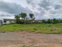 ขายถูกที่ดินคิดถนนปรับถมแล้ว ม่วงคำ พาน เชียงราย