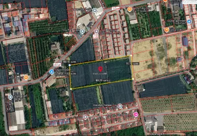 ขายที่ดิน ซอยโรมัน ตำบลสามพราน อำเภอสามพราน นครปฐม เนื้อที่ 8 ไร่