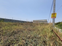 ขายที่ดินบางบัวทอง 285 ตารางวา ถมแล้วทั้งแปลง ติดถนนสาธารณะ ติดหมู่บ้านอารียา ซอย วัดสามง่าม