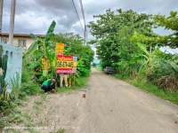 ขายด่วน ที่ดินคลองสอง  100 ตารางวา ติดถนนลาดยางสาธารณะ ซอย บงกช 53 อ.คลองหลวง จ.ปทุมธานี