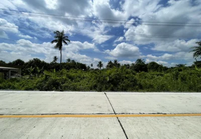 ขายที่ดิน 335.5 ตร.ว. ซอยบ้านหงษ์ 1 ใกล้วัดดงเกตุ ถนนเพชรเกษม สามพราน นครปฐม