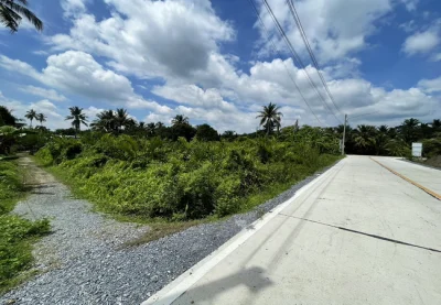 ขายที่ดิน 335.5 ตร.ว. ซอยบ้านหงษ์ 1 ใกล้วัดดงเกตุ ถนนเพชรเกษม สามพราน นครปฐม