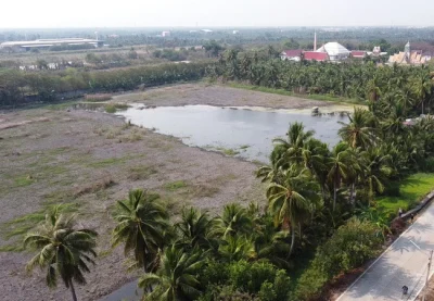 ขายที่ดิน 20 ไร่ ถนนบ้านแพ้ว ตำบลหลักสาม อำเภอบ้านแพ้ว สมุทรสาคร