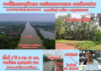 ขายที่ดิน 6 ไร่เศษ ติดคลองสุนัขหอน ติดถนนทางหลวง สส.5007  ลาดใหญ่-สมุทรสงคราม) ต.ลาดใหญ่ อ.เมือง จ.สมุทรสงคราม