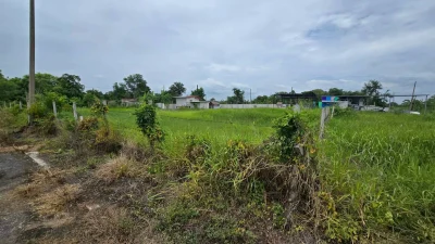 ขายด่วนที่ดิน 300 ตรว ติดถนนสาธารณะ 2 ด้าน ซ.บุญไพศาล1 คลอง 9 หนองเสือ ปทุมธานี
