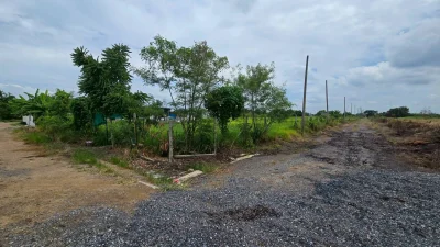 ขายด่วนที่ดิน 300 ตรว ติดถนนสาธารณะ 2 ด้าน ซ.บุญไพศาล1 คลอง 9 หนองเสือ ปทุมธานี