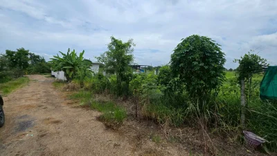 ขายด่วนที่ดิน 300 ตรว ติดถนนสาธารณะ 2 ด้าน ซ.บุญไพศาล1 คลอง 9 หนองเสือ ปทุมธานี
