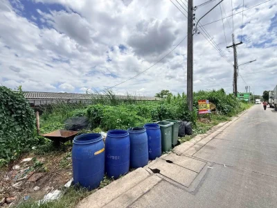 ขายถูกที่ดินลาดสวาย 100 ตรว ติดถนนคอนกรีต ซ.ไสวประชาราษฎร์ 19 (ร่วมสุข1) ลำลูกกา ปทุมธานี