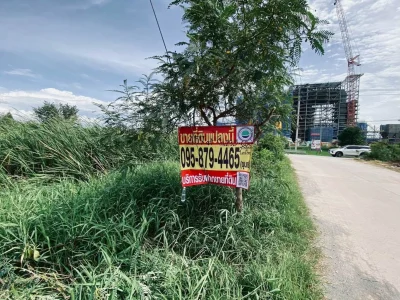 ขายถูกที่ดินผังม่วงใกล้โรงไฟฟ้า 457 ตรว ติดถนน 3 ด้าน ไทรใหญ่ ไทรน้อย นนทบุรี
