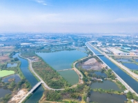 ขายที่สีม่วง 45 ไร่เศษ ติดถนนใหญ่รถเทรลเลอร์วิ่งสะดวก ใกล้ถนนเลียบมอเตอร์เวย์สาย 7 ต.บางนาง อ.พานทอง จ.ชลบุรี