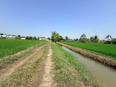 Vายด่วนที่ดิน 2 ไร่ ชอยโต๊ะนุ้ย ชอย 7 ต.ขุนศรี อ.ไทรน้อย จ.นนทบุรี