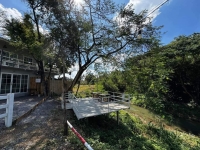 ขายบ้าน 118 ตรว 3.80ล้าน พร้อมผู้เช่าเดือนละ18,000บาท สันกำแพง