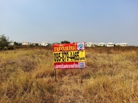 ขายด่วน ที่ดินคลองสิบสอง 3 ไร่แบ่งได้) ถมแล้ว ติดถนนคอนกรีตสาธารณะ