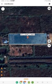 ขายด่วน ที่ดินคลองสิบสอง 3 ไร่แบ่งได้) ถมแล้ว ติดถนนคอนกรีตสาธารณะ