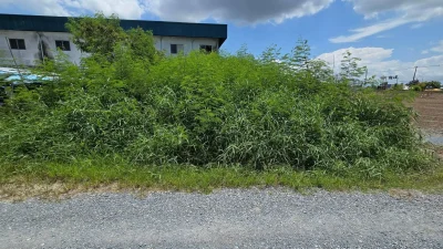 ขายด่วนที่ดินใกล้วัดลานตากฟ้า 55 ตรว ถมแล้ว ลานตากฟ้า นครชัยศรี นครปฐม