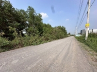 ขายที่ดินซอยสุขสำราญ 160 ตารางวา ติดถนนสาธารณะ ซอย คลองห้าตะวันออก 41 อ.คลองหลวง จ.ปทุมธานี