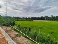 พรีเซลบ้านคุณภาพก่อสร้างด้วยวัสดุเกรด A  ถมสูงจากระดับถนน ในโครงการบ้านสันมะนะ ต.ป่าอ้อดอนชัย อ.เมือง จ.เชียงราย 