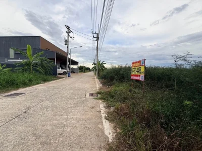 ขายด่วนที่ดิน 100 ตรว ติดถนนคอนกรีตสาธารณะ ซ.บงกช 71 อ.คลองหลวง จ.ปทุมธานี