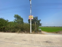 ขายถูก ที่ดินไทรใหญ่ 2 ไร่ครึ่ง ติดถนนคอนกรีตสาธารณะ ถนน เลียบคลองขุนศรี อ.ไทรน้อย จ.นนทบุรี