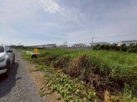 ขายด่วนที่ดินซอยวัดคลองตาคล้าย 128 ตรว ติดถนนสาธารณะ อ.ไทรน้อย จ.นนทบุรี