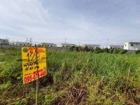 ขายด่วนที่ดินซอยวัดคลองตาคล้าย 128 ตรว ติดถนนสาธารณะ อ.ไทรน้อย จ.นนทบุรี