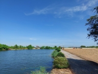 ขายที่ดิน 5ไร่ ใน ต.บางเตย อ.เมืองฉะเชิงเทรา .ใกล้เขต ลาดกระบัง