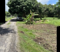 ขายที่ดินอำเภอเมืองแม่เหียะ) จังหวีดเชียงใหม่ 1-0-16 ตรว 7.5 ล้าน