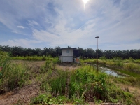 ขายถูกที่สุด ที่ดินพร้อมบ้านสวน 100 ตารางวา ใกล้วัดคลอง 24  ต.หัวกระบือ อ.องครักษ์ จ.นครนายก