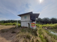 ขายถูกที่สุด ที่ดินพร้อมบ้านสวน 100 ตารางวา ใกล้วัดคลอง 24  ต.หัวกระบือ อ.องครักษ์ จ.นครนายก