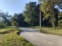 ขายที่ดินสวยบ้านปง อ.หางดง 1ไร่ 4ล้าน