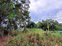 ขายด่วนที่ดินคลองสี่ 40 ตรว ติดถนนคอนกรีตสาธารณะ ถมแล้ว ซ.คลองสี่ตะวันตก 34/1 อ.คลองหลวง จ.ปทุมธานี