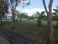 ขายที่ดิน ต. หนองควาย จ.เชียงใหม่ พื้นที่ 286 ตรว ราคา13 ล้าน