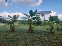 ขายที่ดิน ต. หนองควาย จ.เชียงใหม่ พื้นที่ 286 ตรว ราคา13 ล้าน