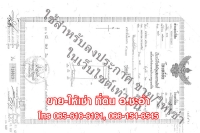 ขายที่ดินเปล่า 3 ไร่ ชะอำ เพชรบุรี ที่สวย ใกล้หัวหิน