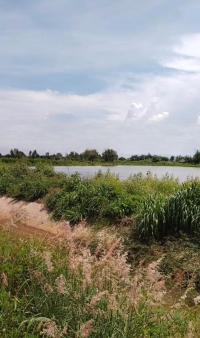 ขายที่บ่อปลา ติดคลอง 9 ถึง 30 ไร่ ติดถนน ต.ท่าข้าม อ.พนัสนิคม จ.ชลบุรี