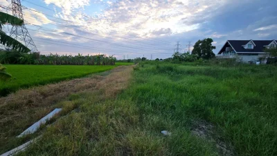 ขายด่วนที่ดินใกล้รร.บ้านคลองฝรั่ง 355 ตรว ติดถนนสาธารณะ ถมแล้ว ซ.รร.บ้านคลองฝรั่ง ไทรน้อย นนทบุรี
