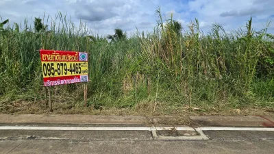 ขายด่วนที่ดิน 96 ตรว ติดถนนคอนกรีตสาธารณะ ซ.นายตึ๋ง บางกรวย นนทบุรี